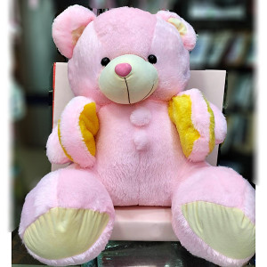 Valentine Teddy Bear